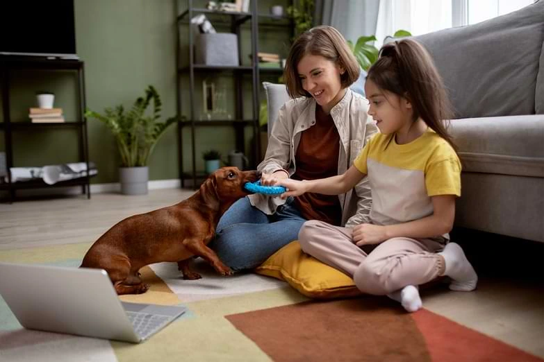 best online vet consultation india