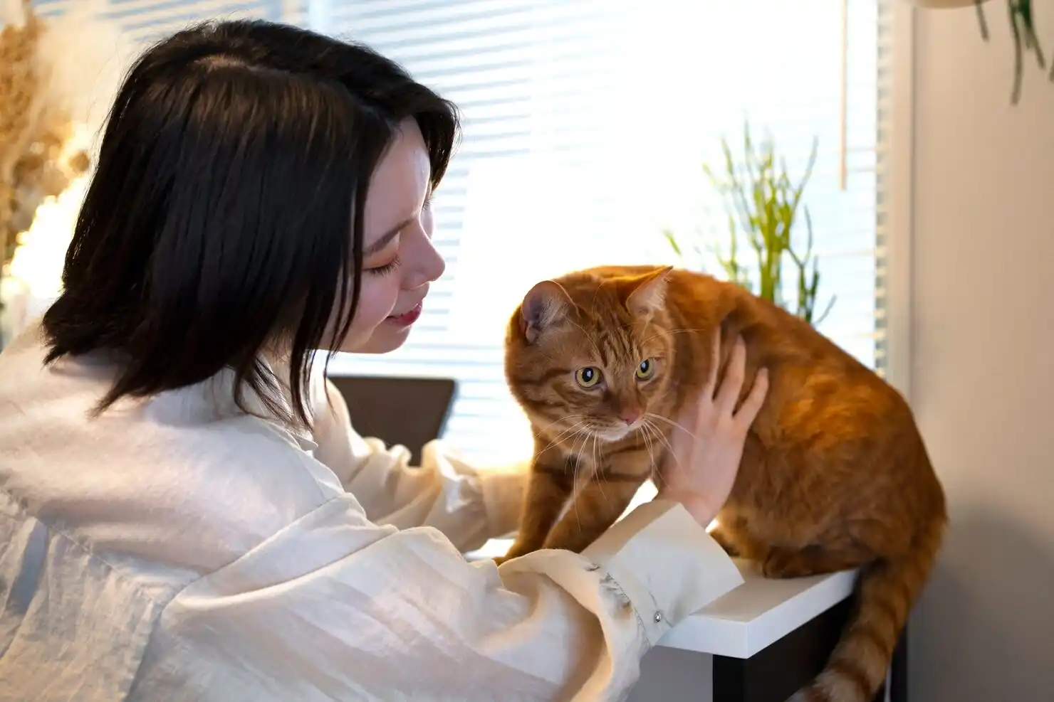 best online vet consultation india