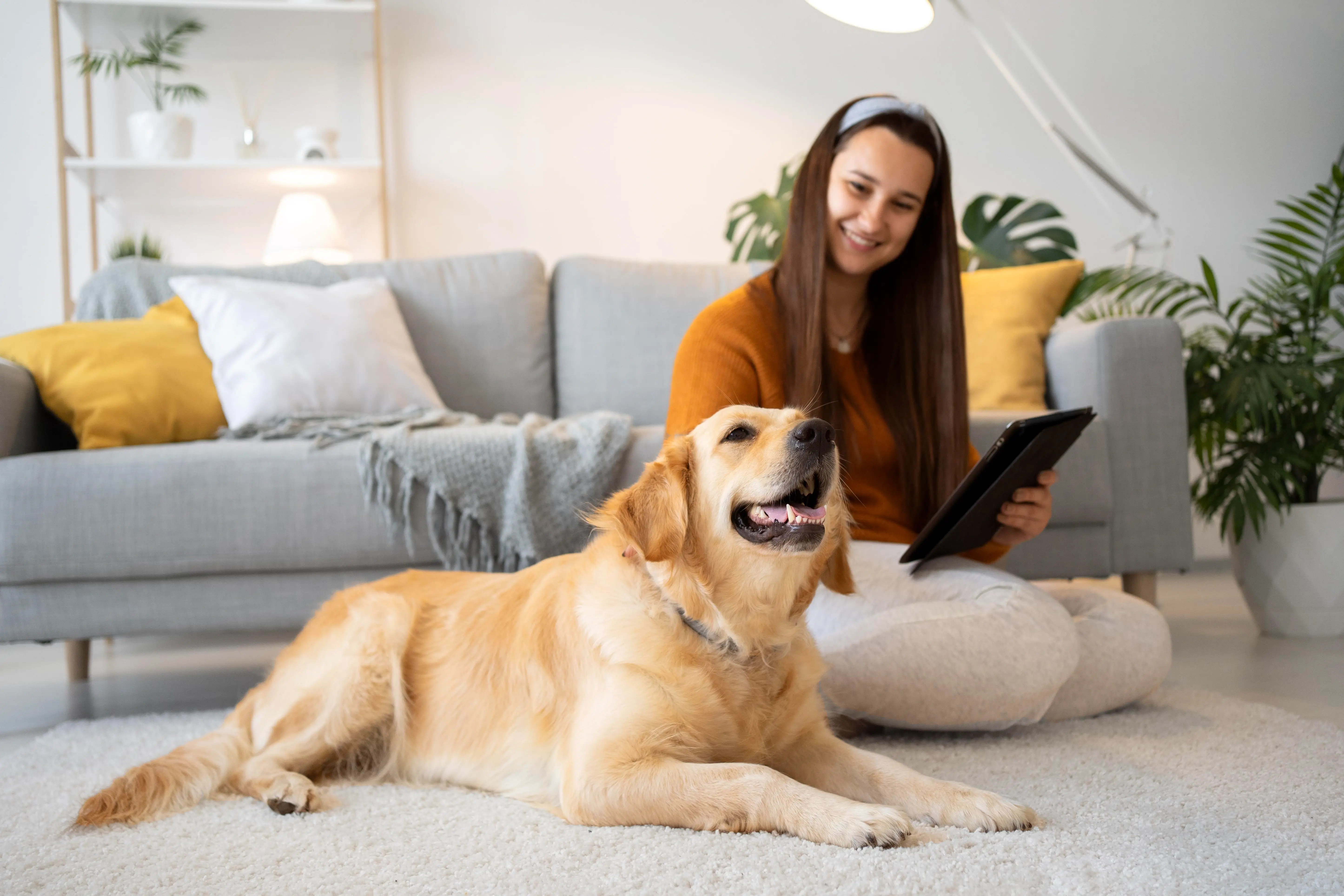 best online vet consultation india