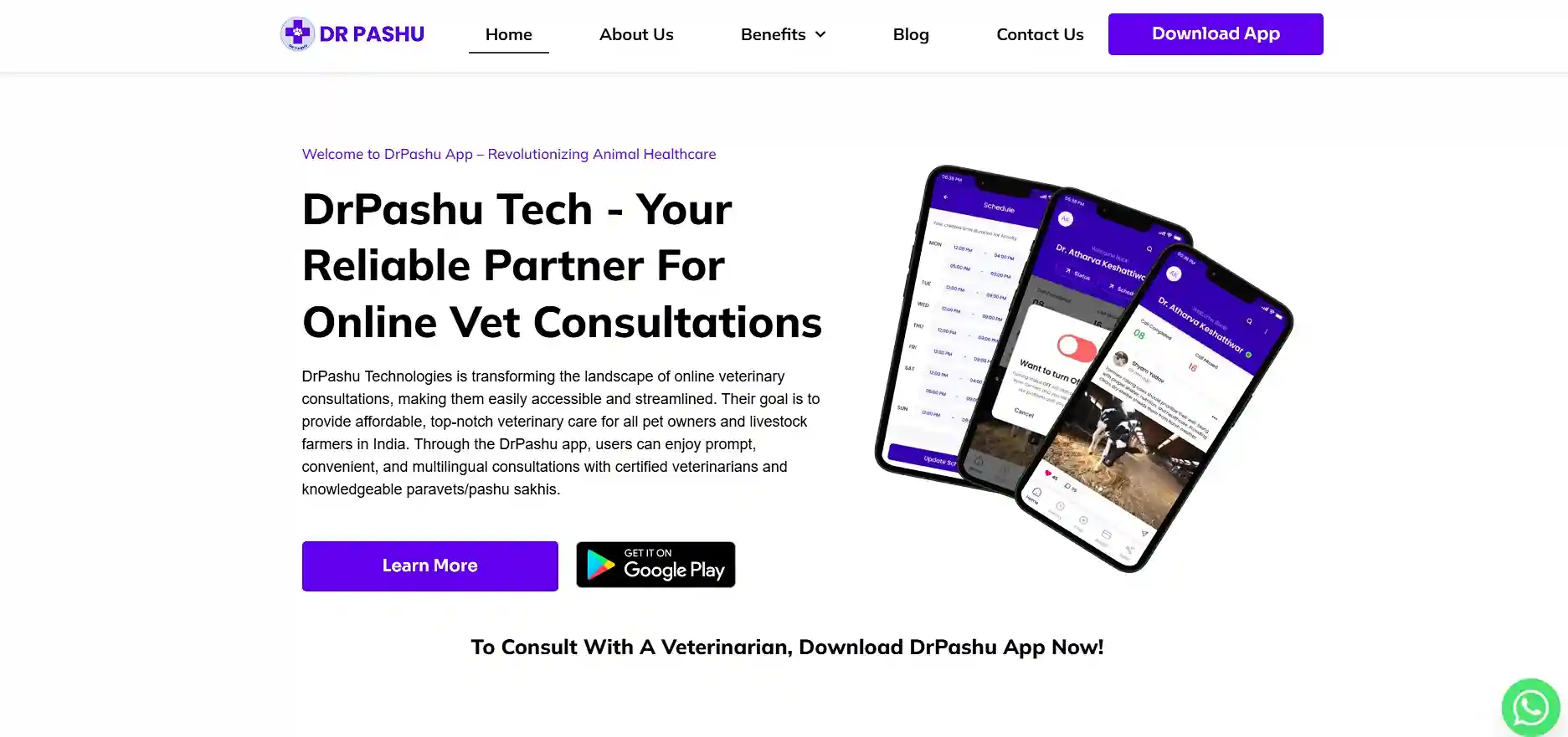 best online vet consultation india