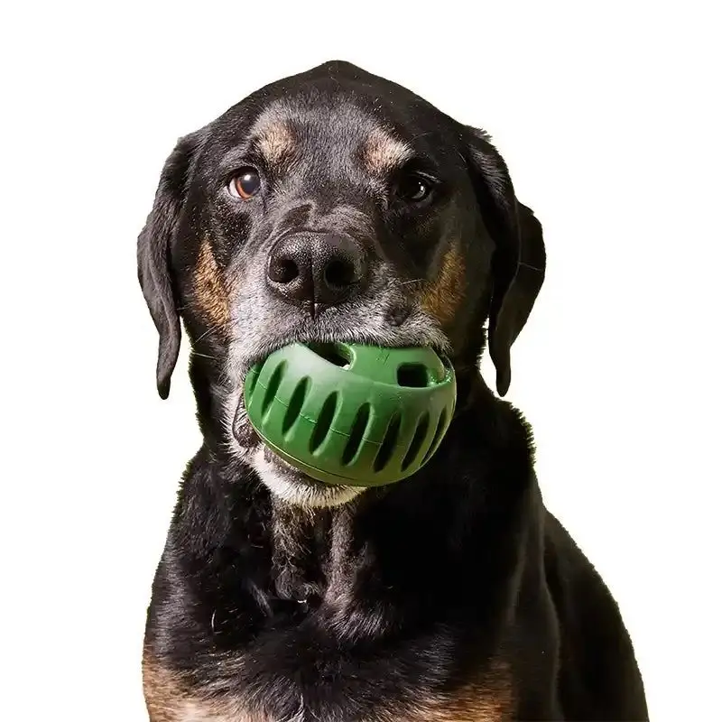 best online vet consultation india