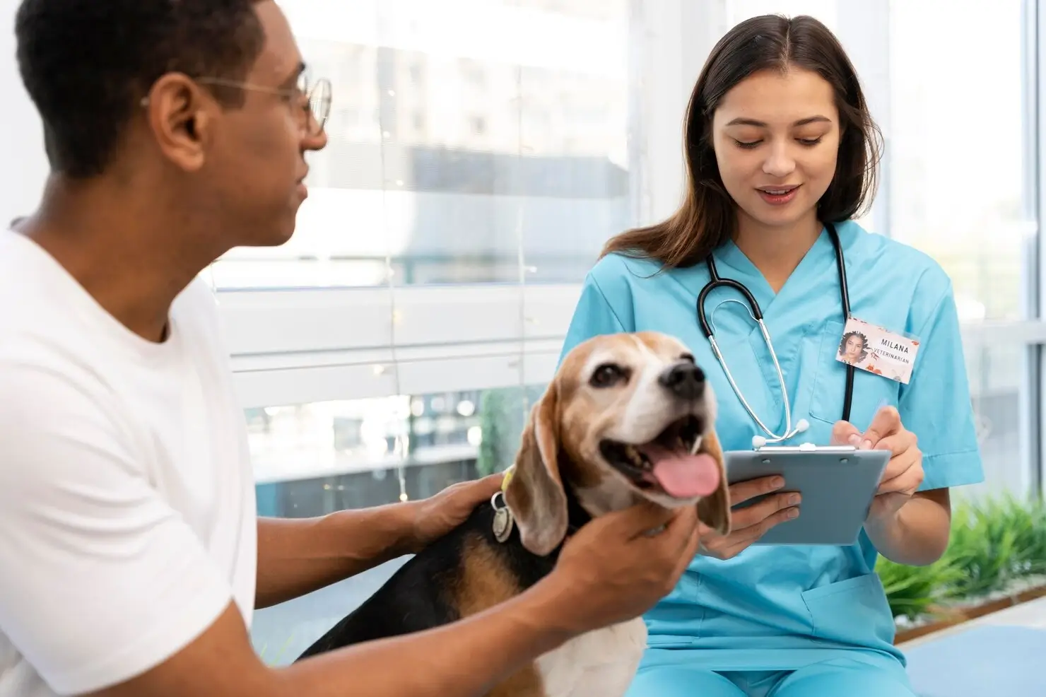best online vet consultation india