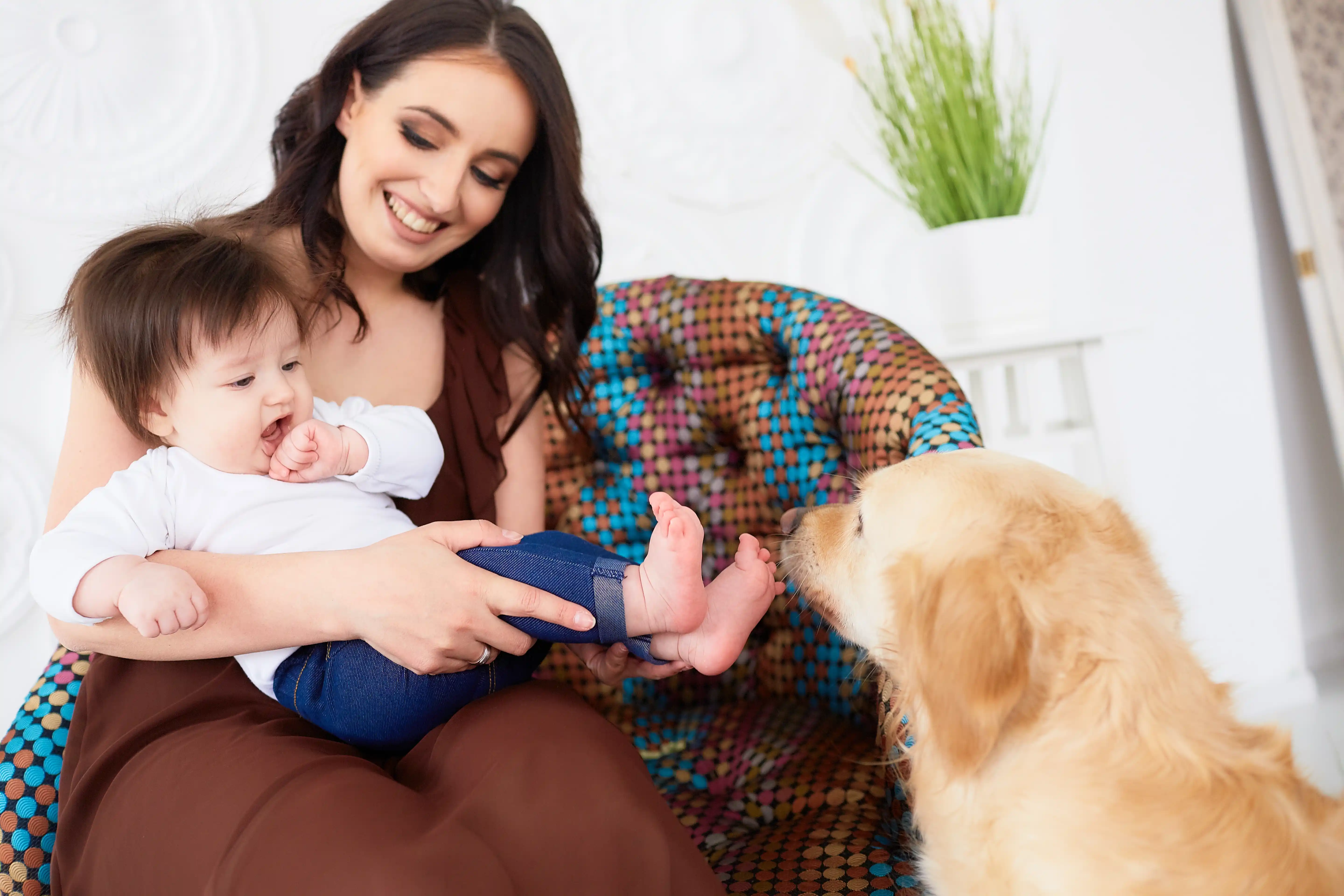 best online vet consultation india