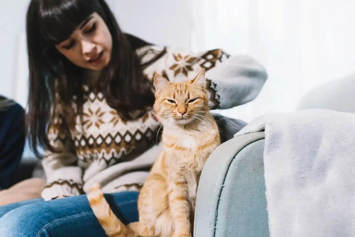 best online vet consultation india