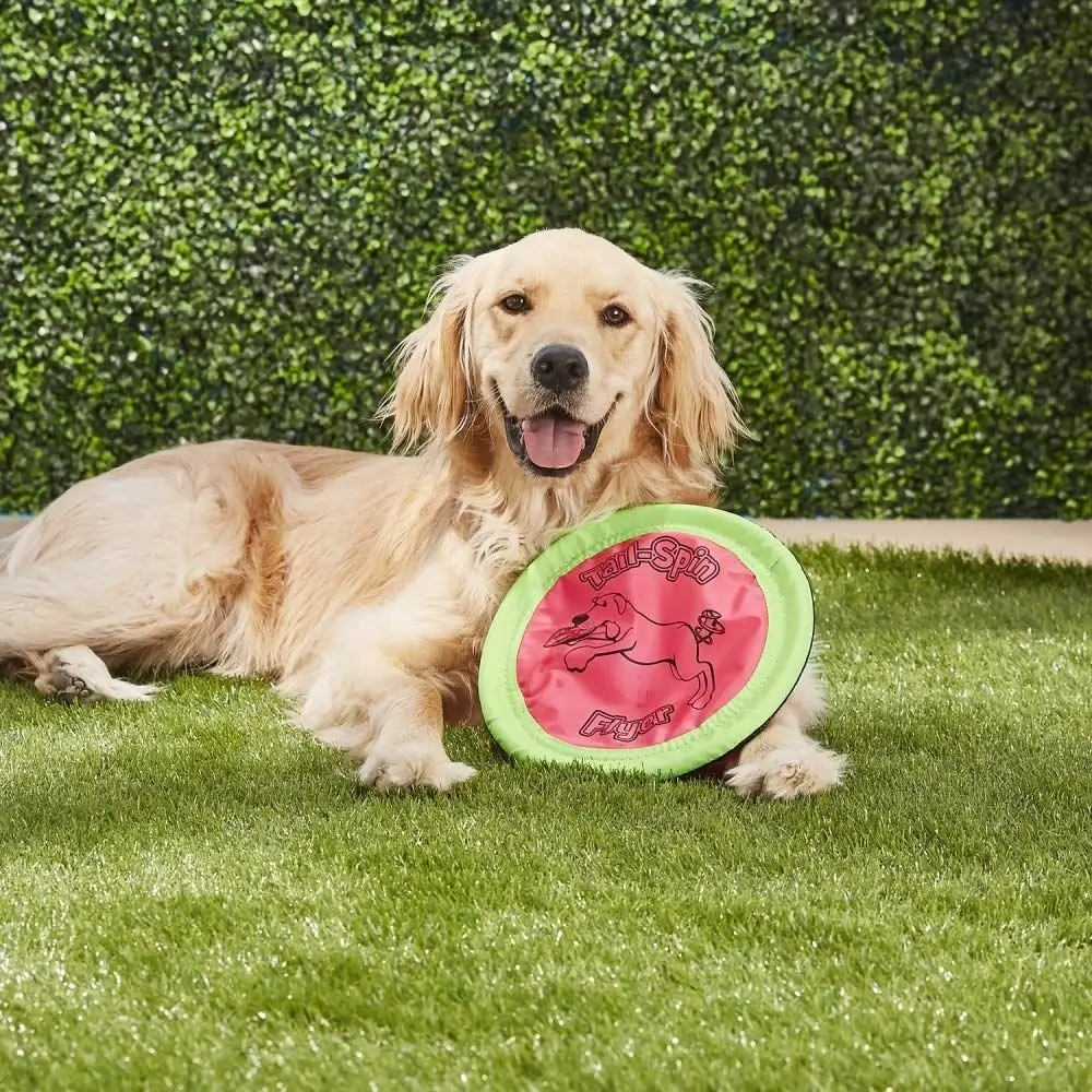 best online vet consultation india