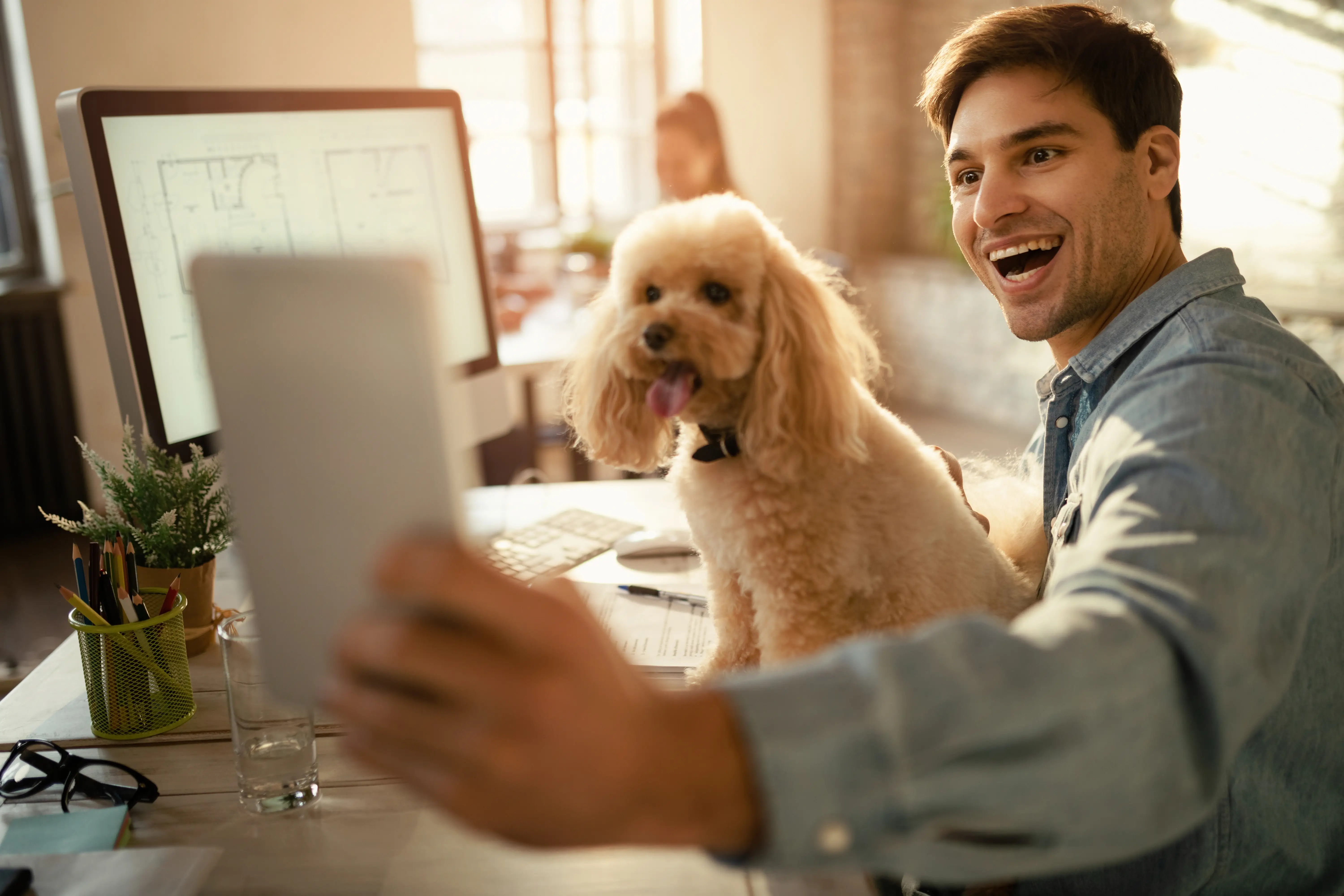best online vet consultation india