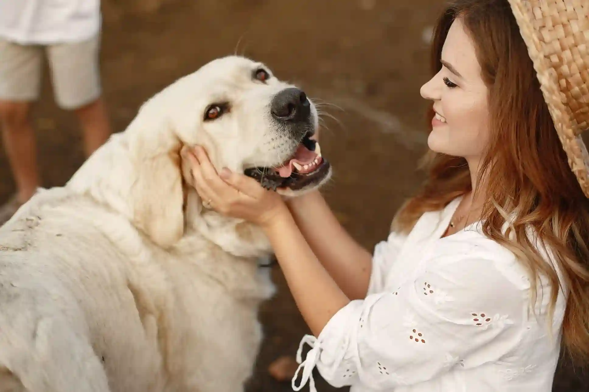best online vet consultation india