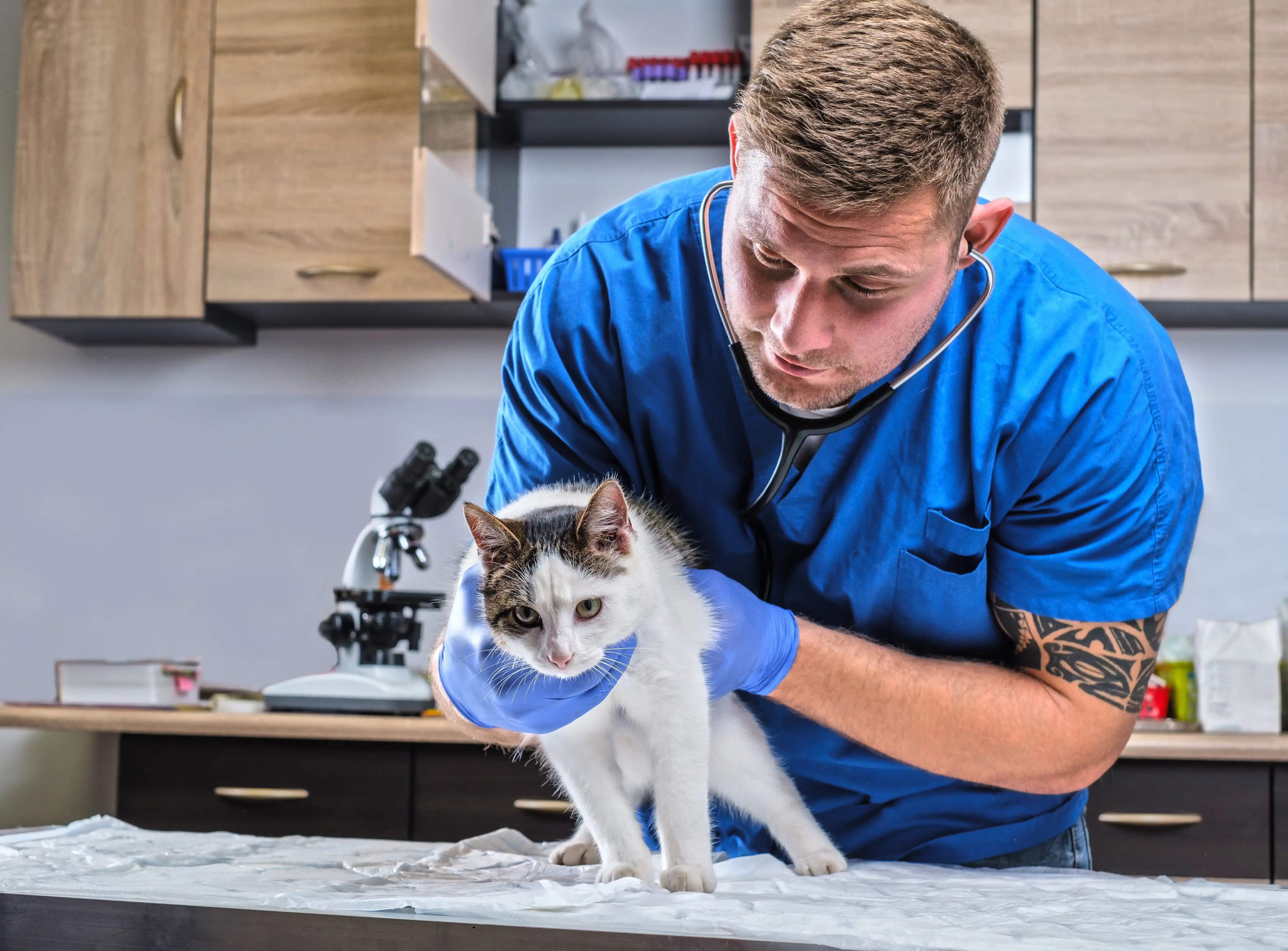 best online vet consultation india