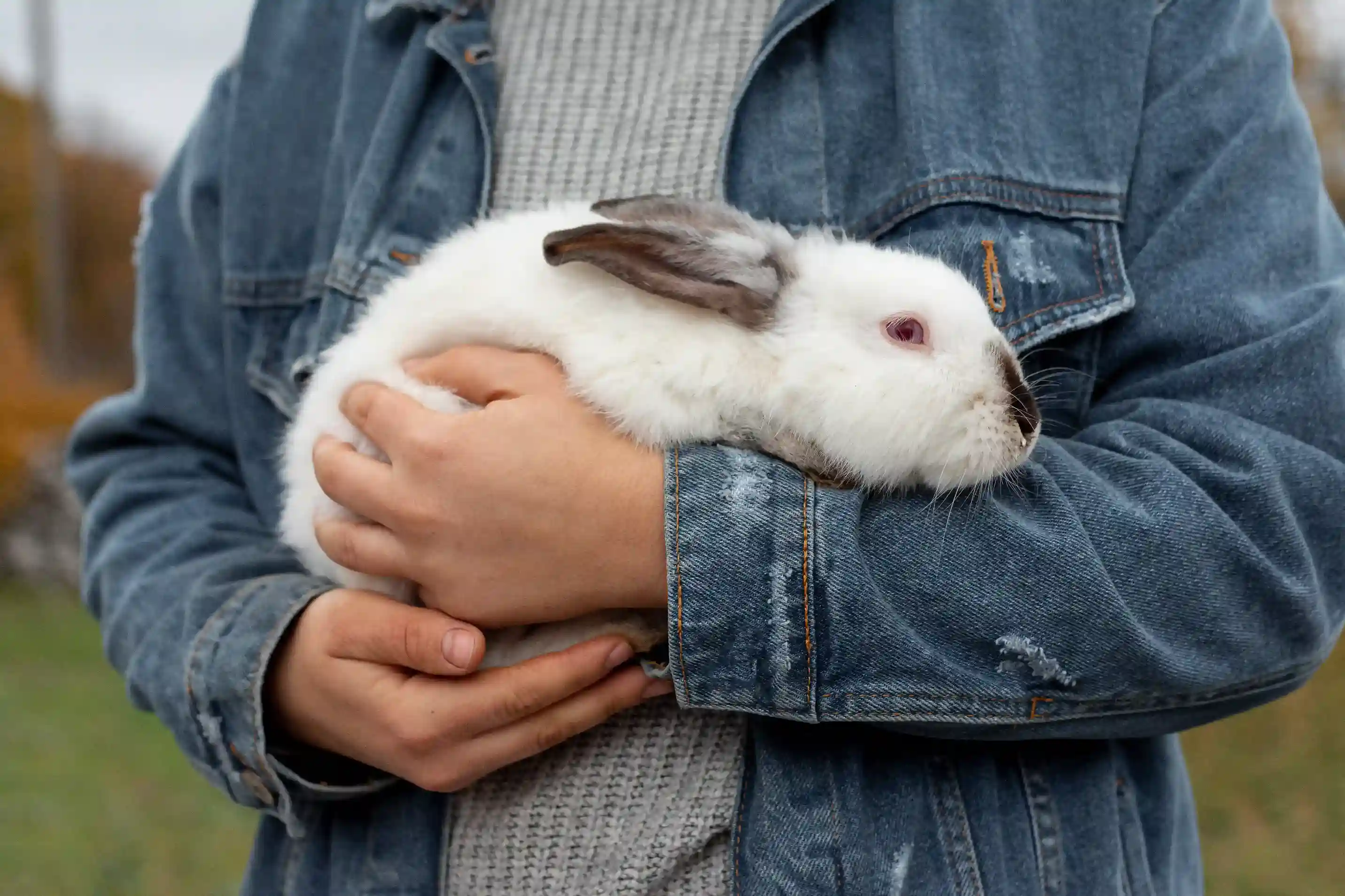 best online vet consultation india