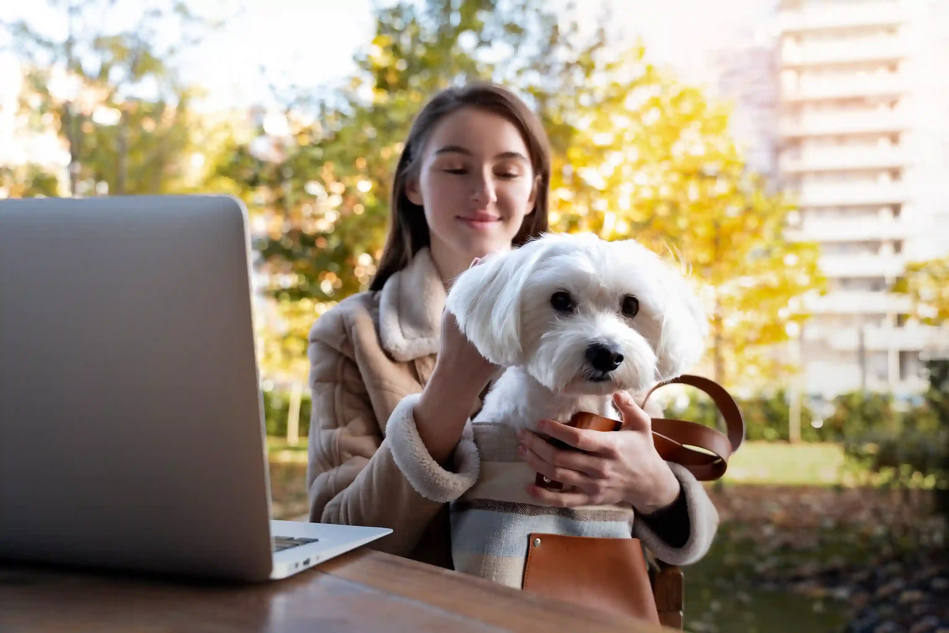 best online vet consultation india