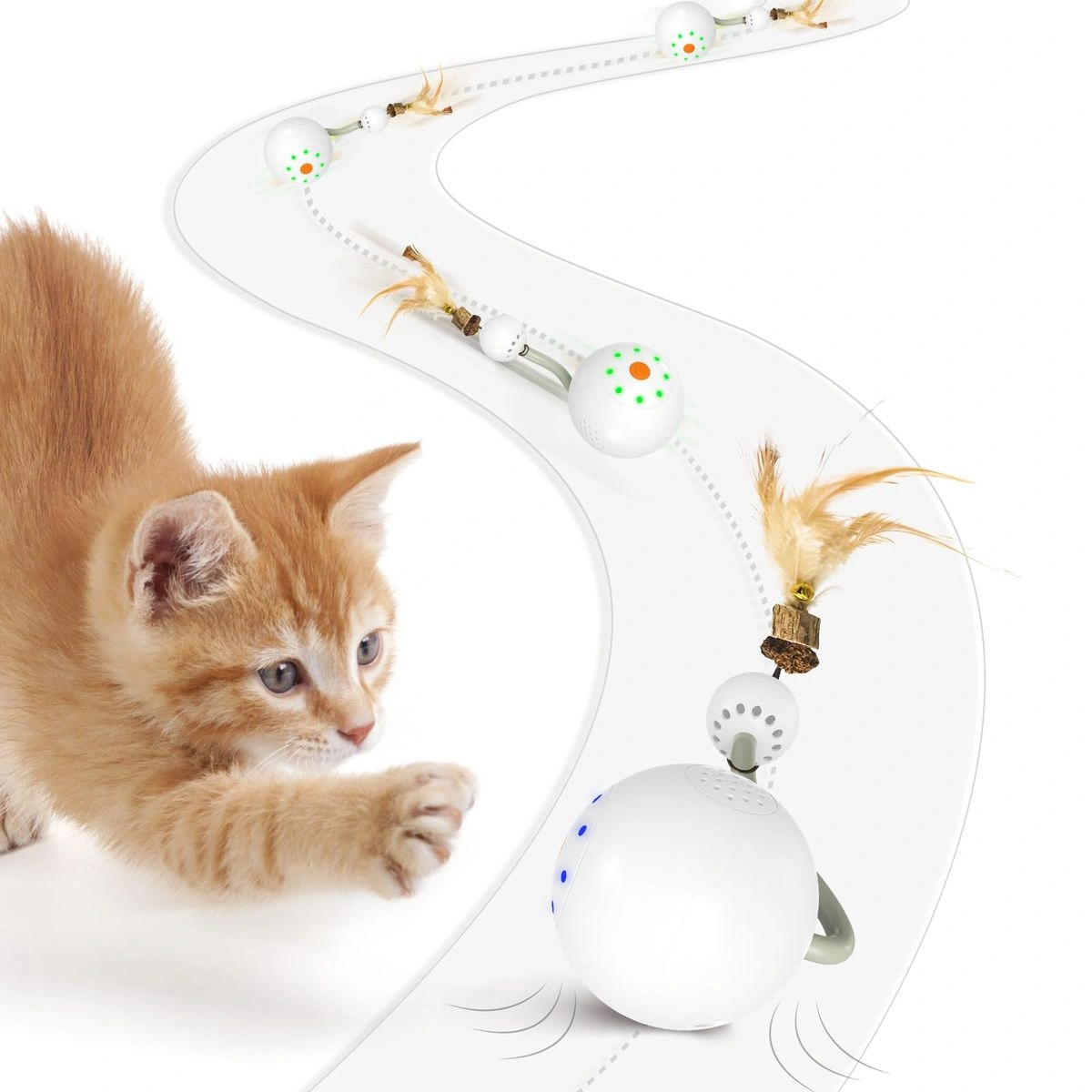 best online vet consultation india