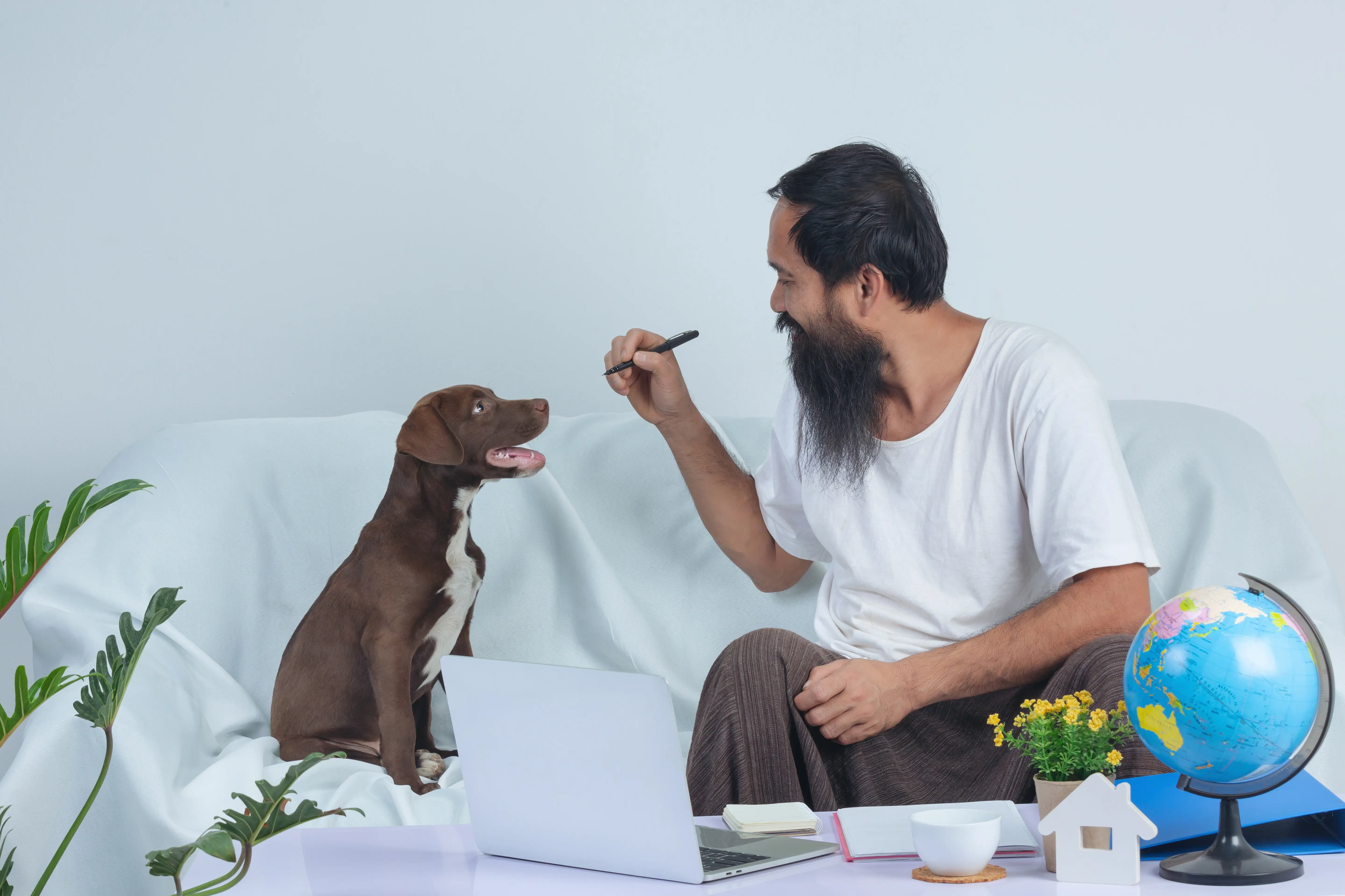 best online vet consultation india