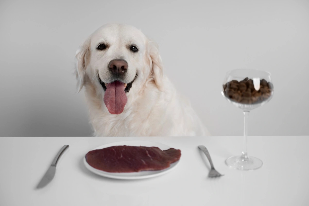 best online vet consultation india