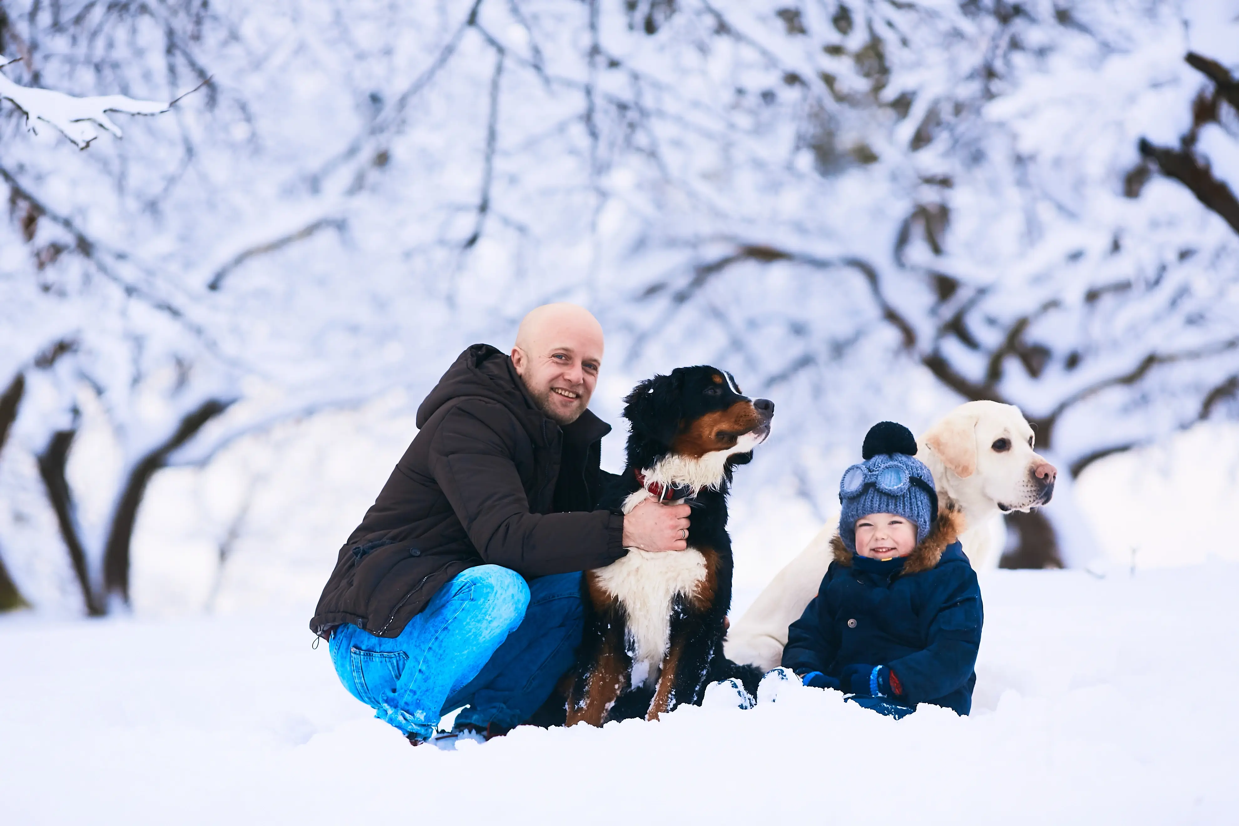 best online vet consultation india