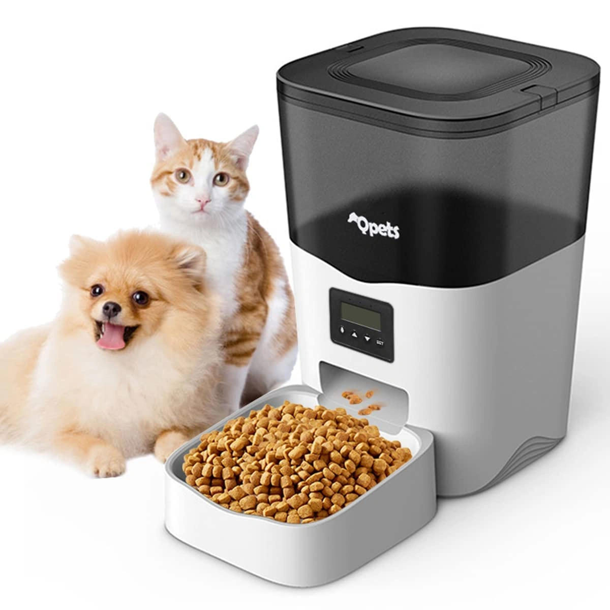 best online vet consultation india