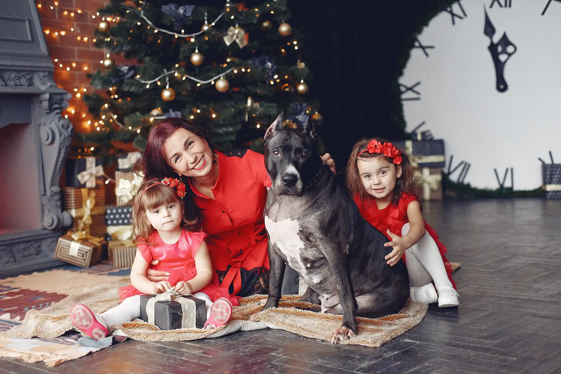 best online vet consultation india