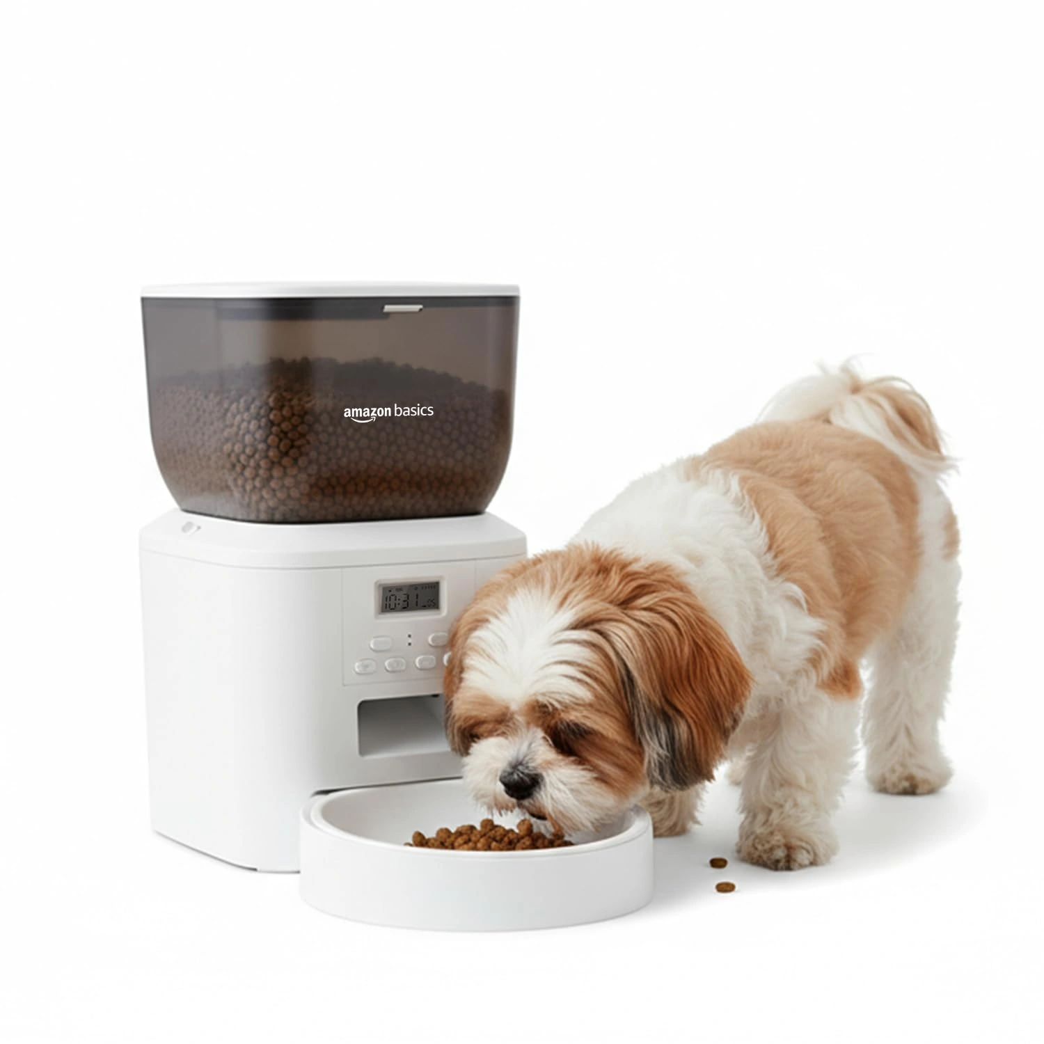 best online vet consultation india