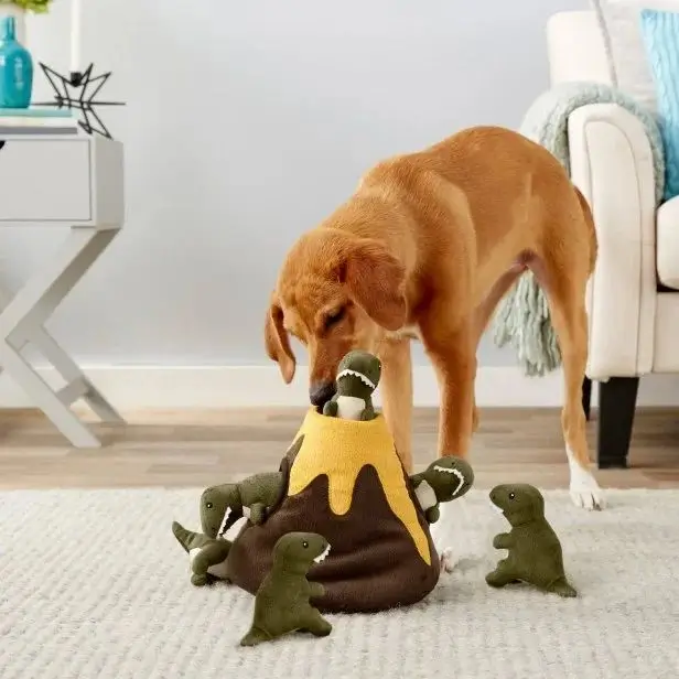 best online vet consultation india