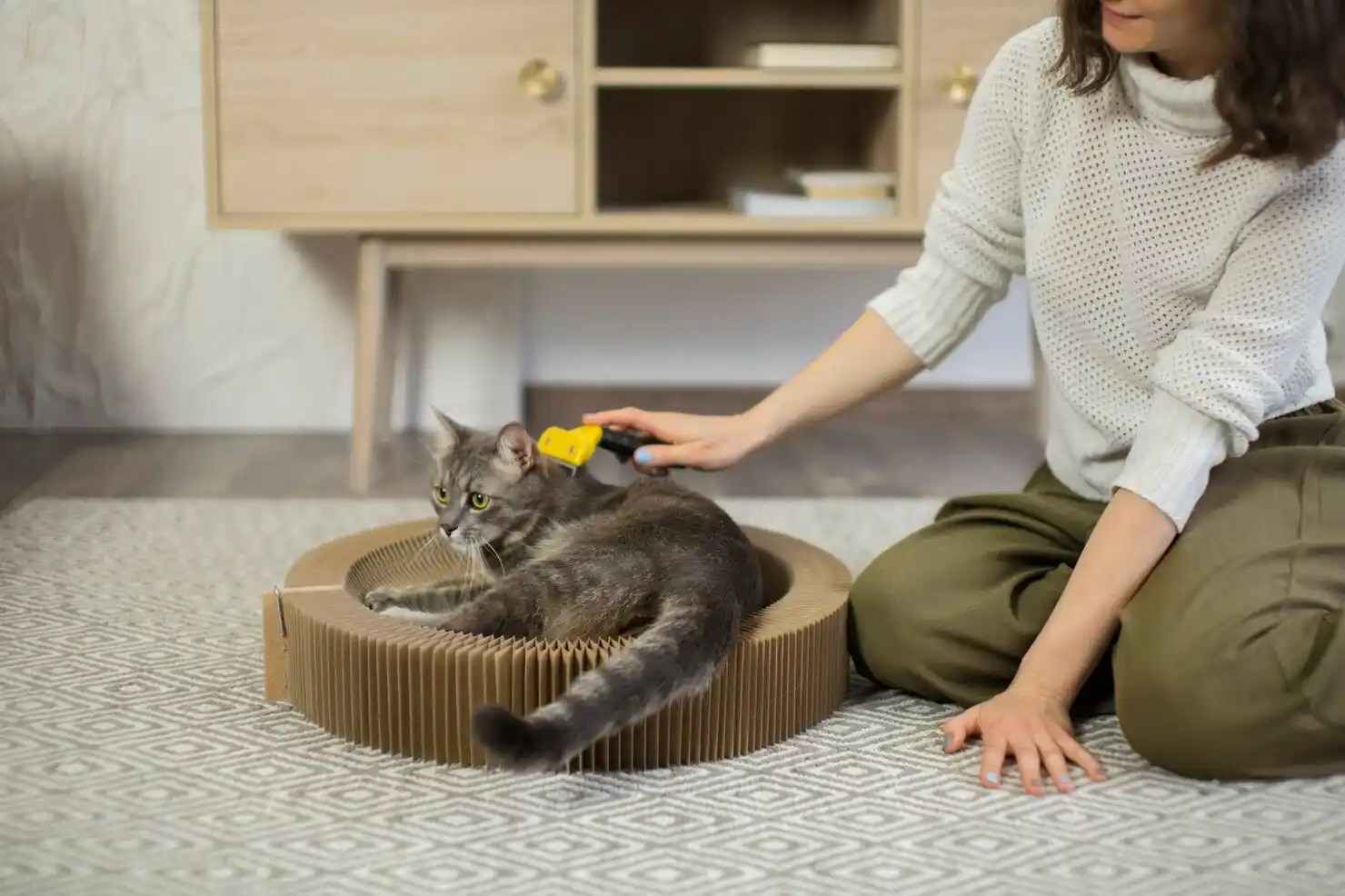 best online vet consultation india