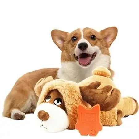 best online vet consultation india