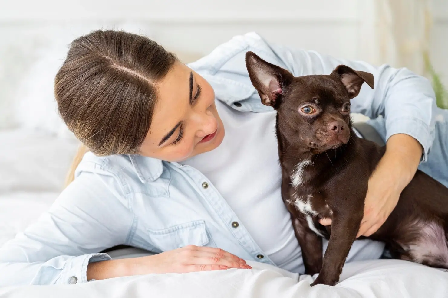 best online vet consultation india