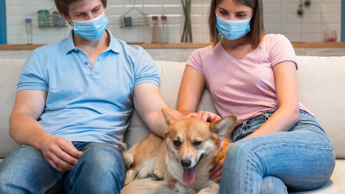 best online vet consultation india