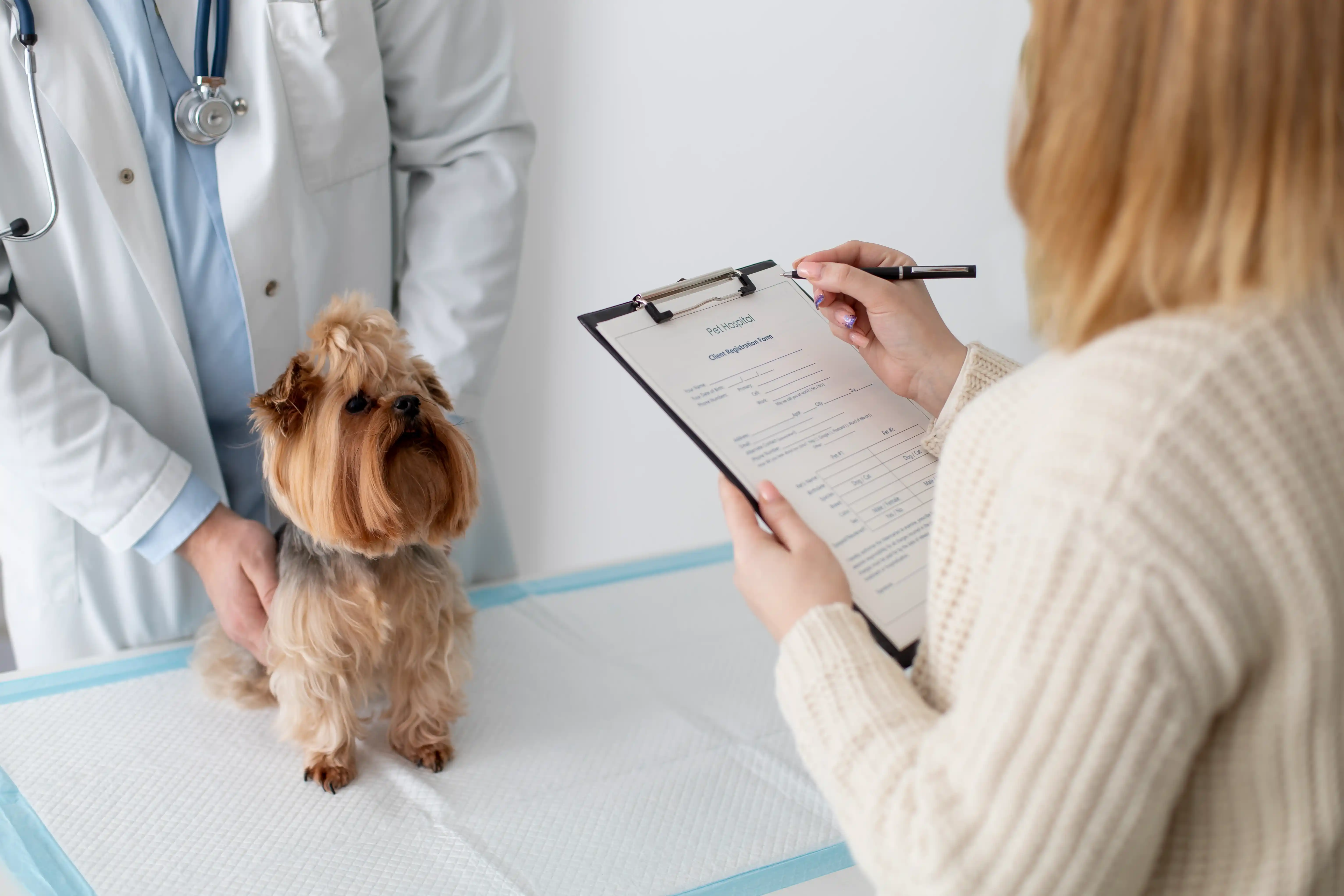 best online vet consultation india
