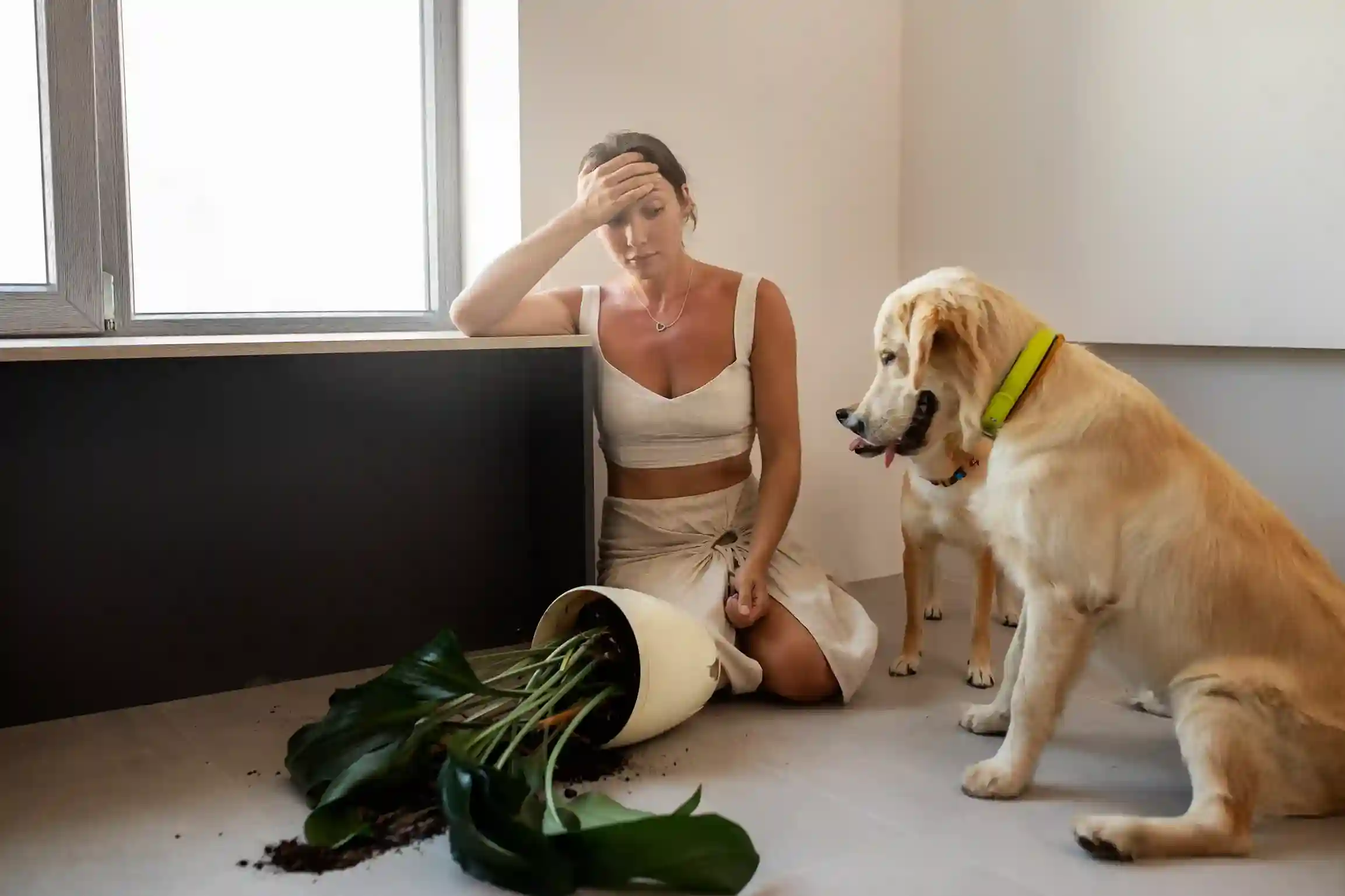 best online vet consultation india