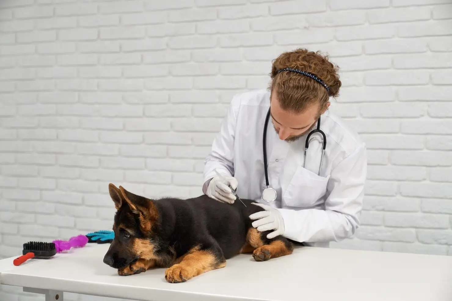 best online vet consultation india