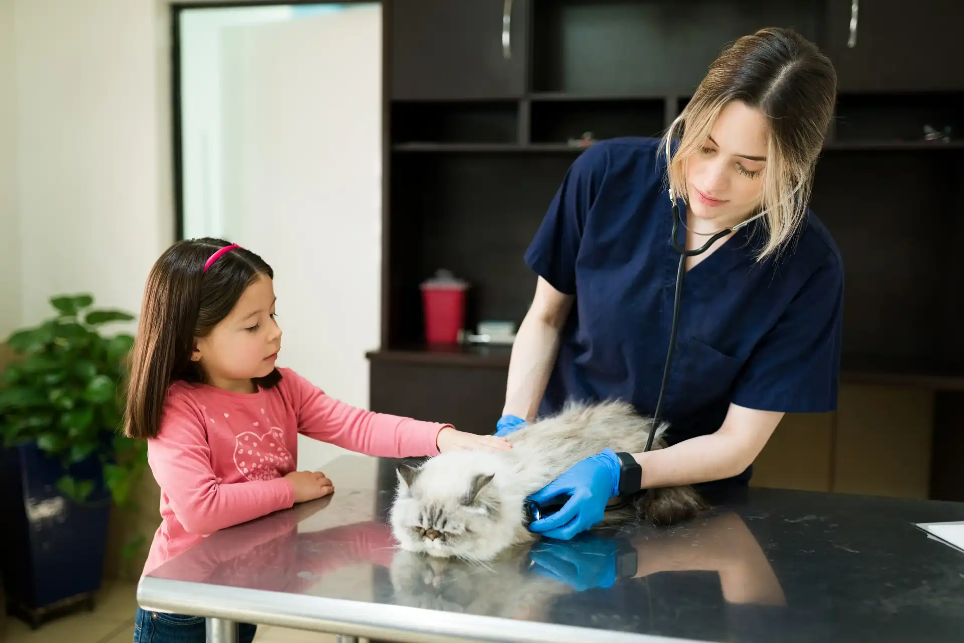 best online vet consultation india