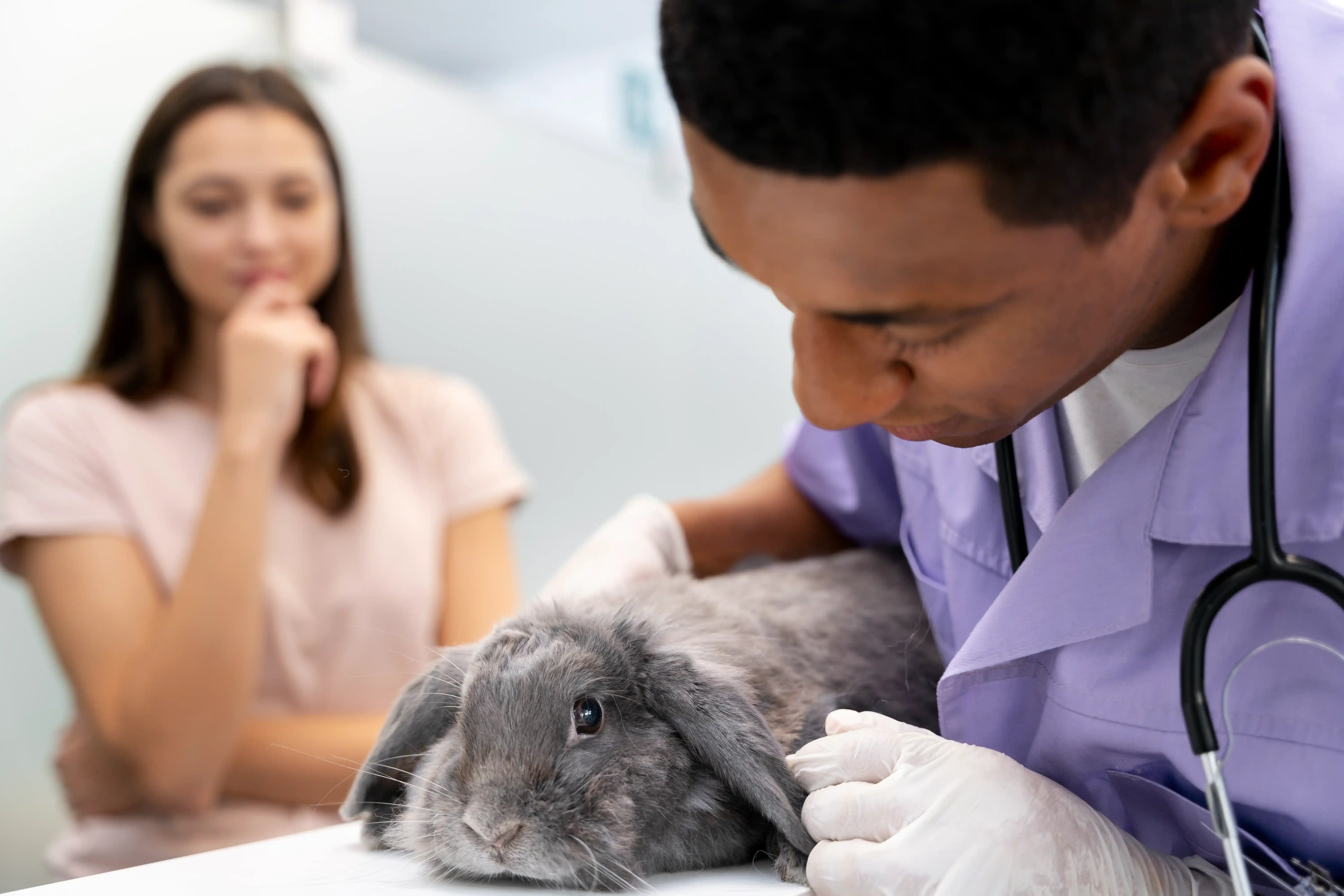 best online vet consultation india