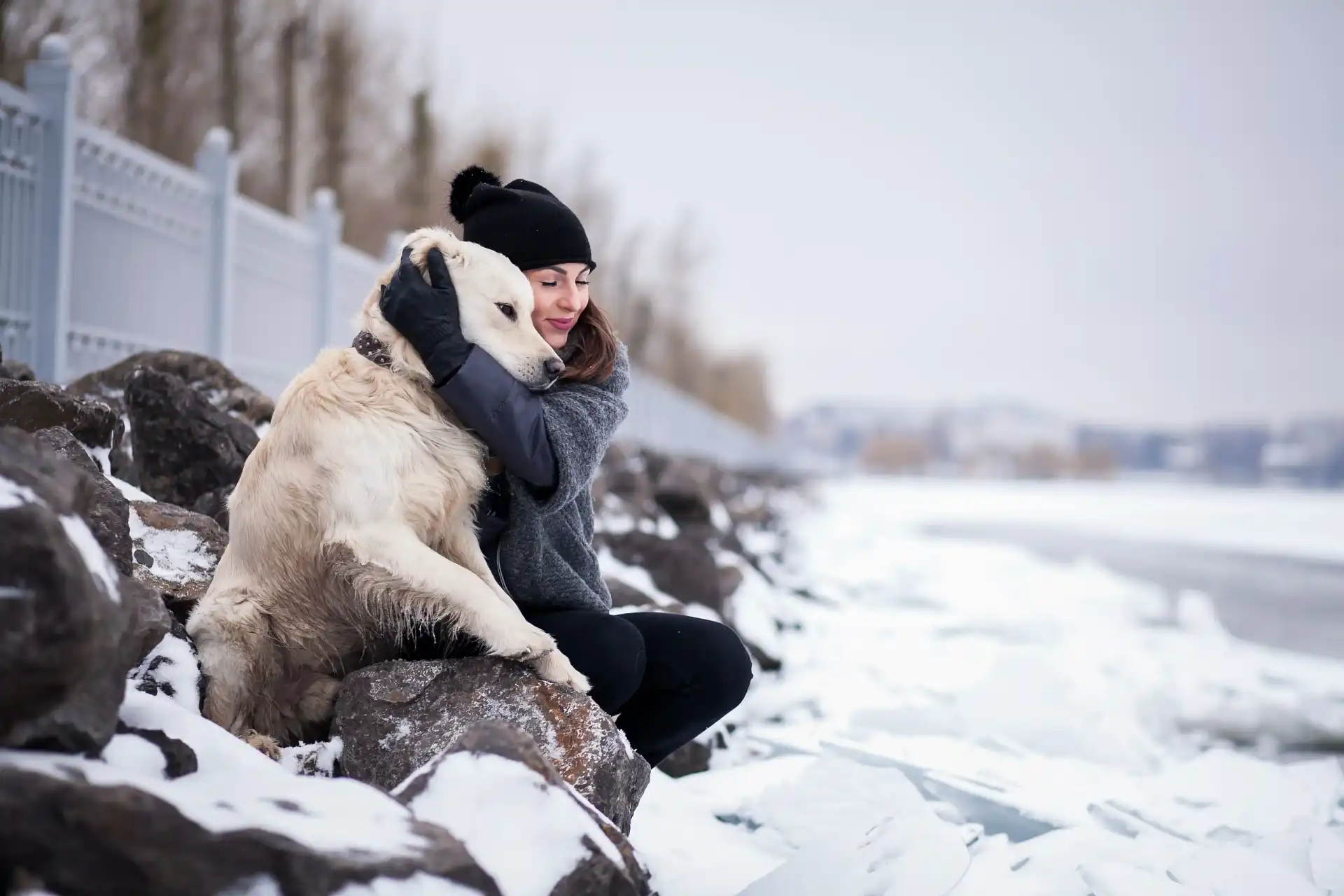 best online vet consultation india