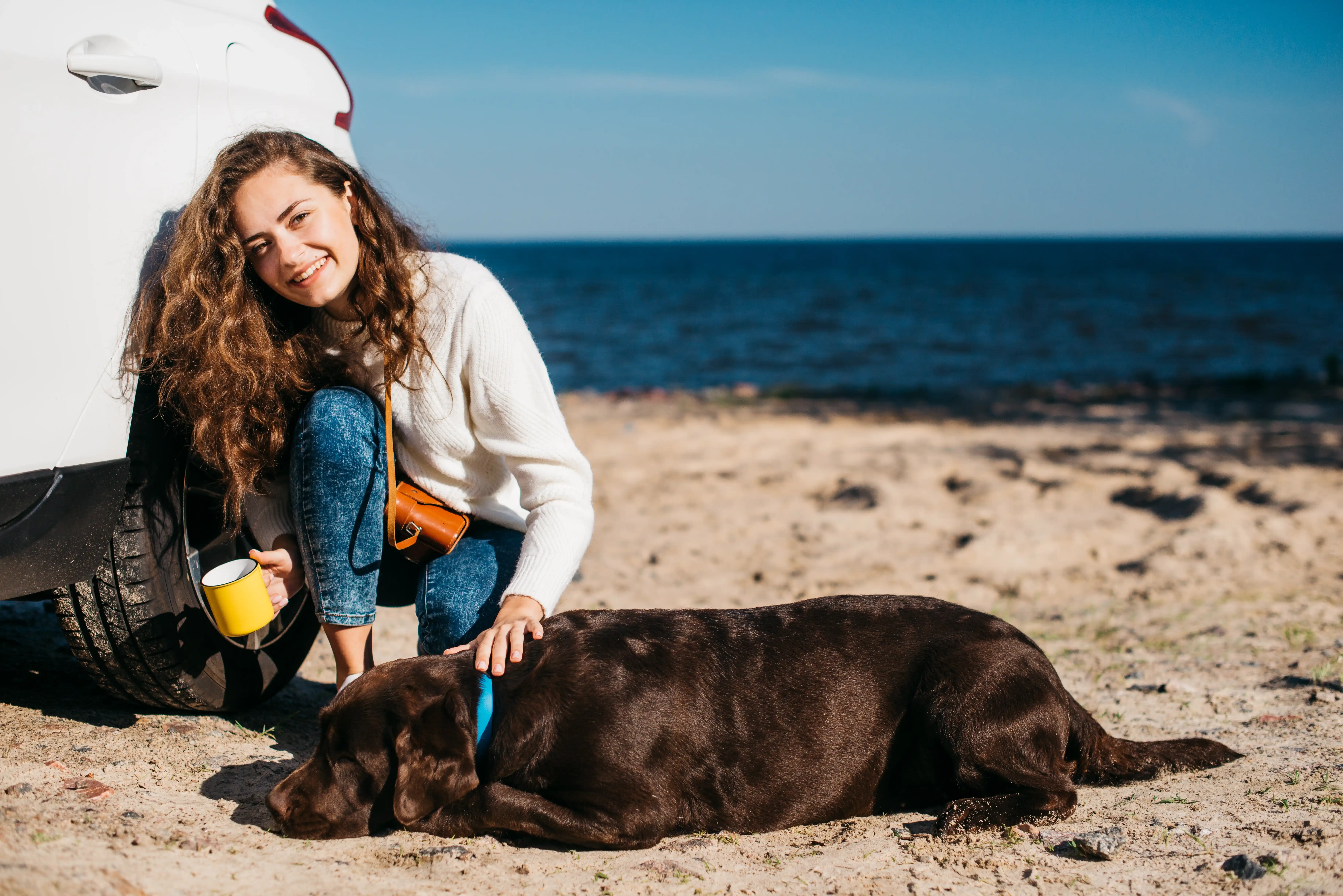 best online vet consultation india