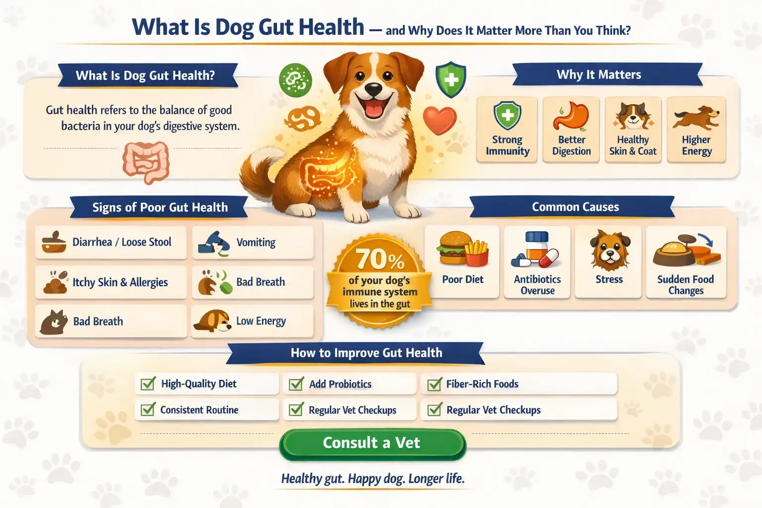 best online vet consultation india