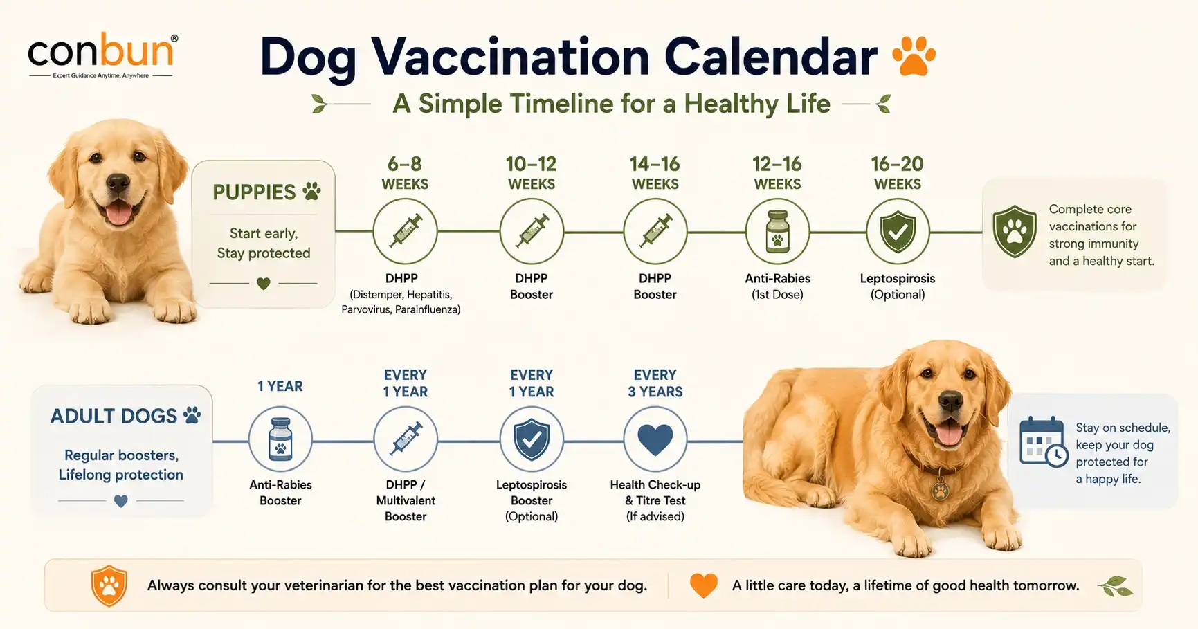 best online vet consultation india
