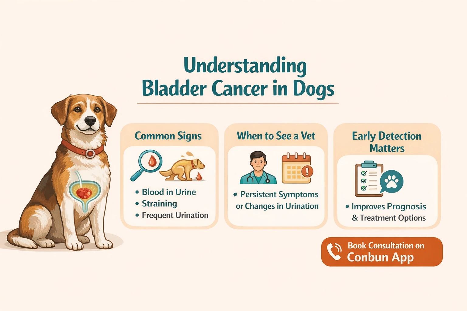 best online vet consultation india