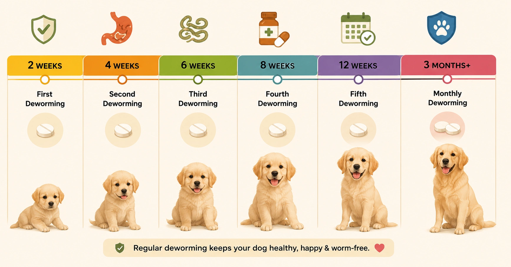 best online vet consultation india
