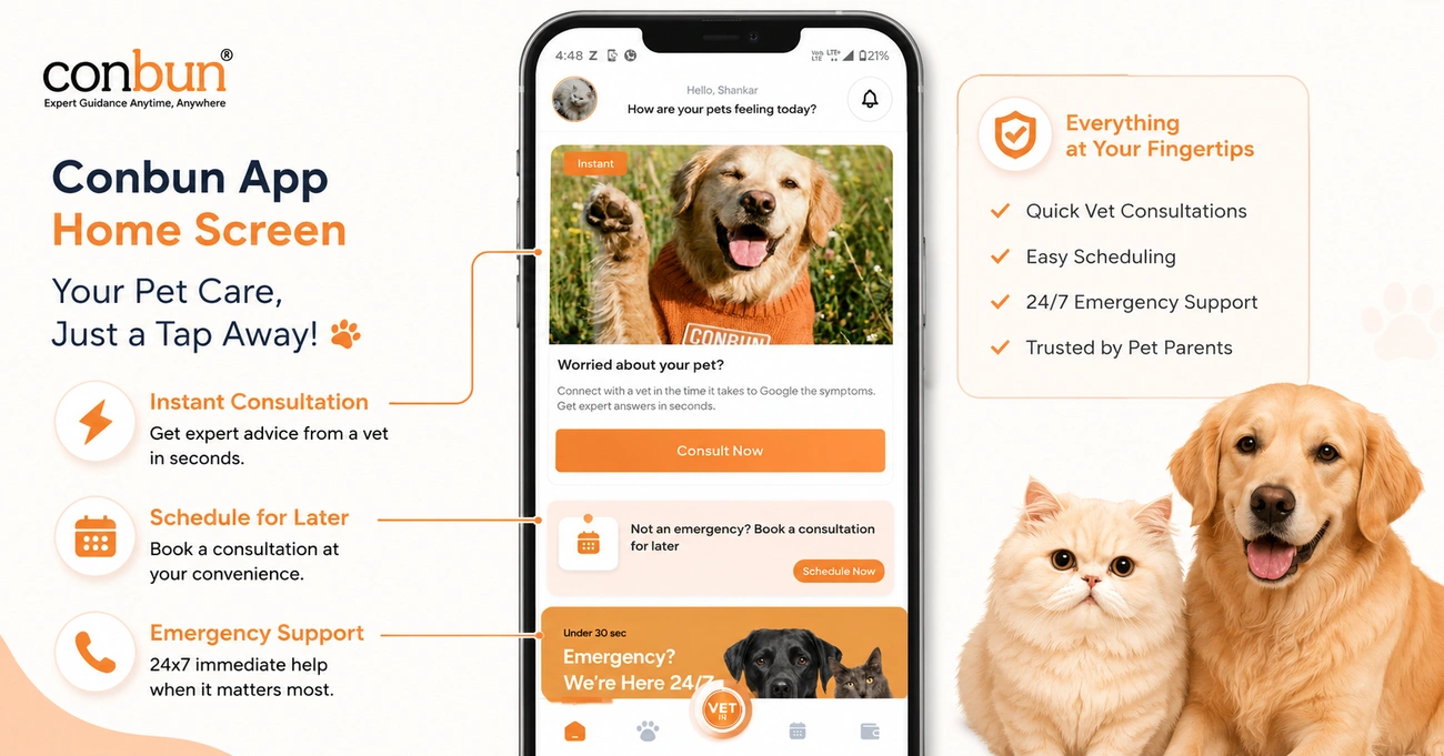 best online vet consultation india