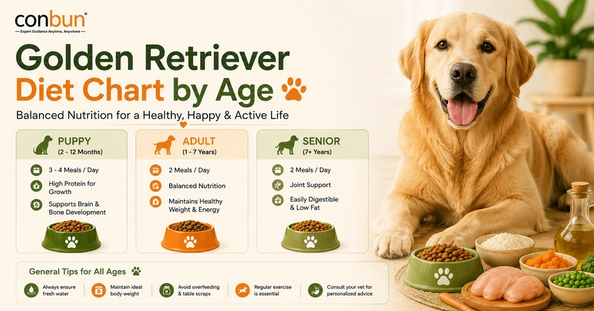 best online vet consultation india