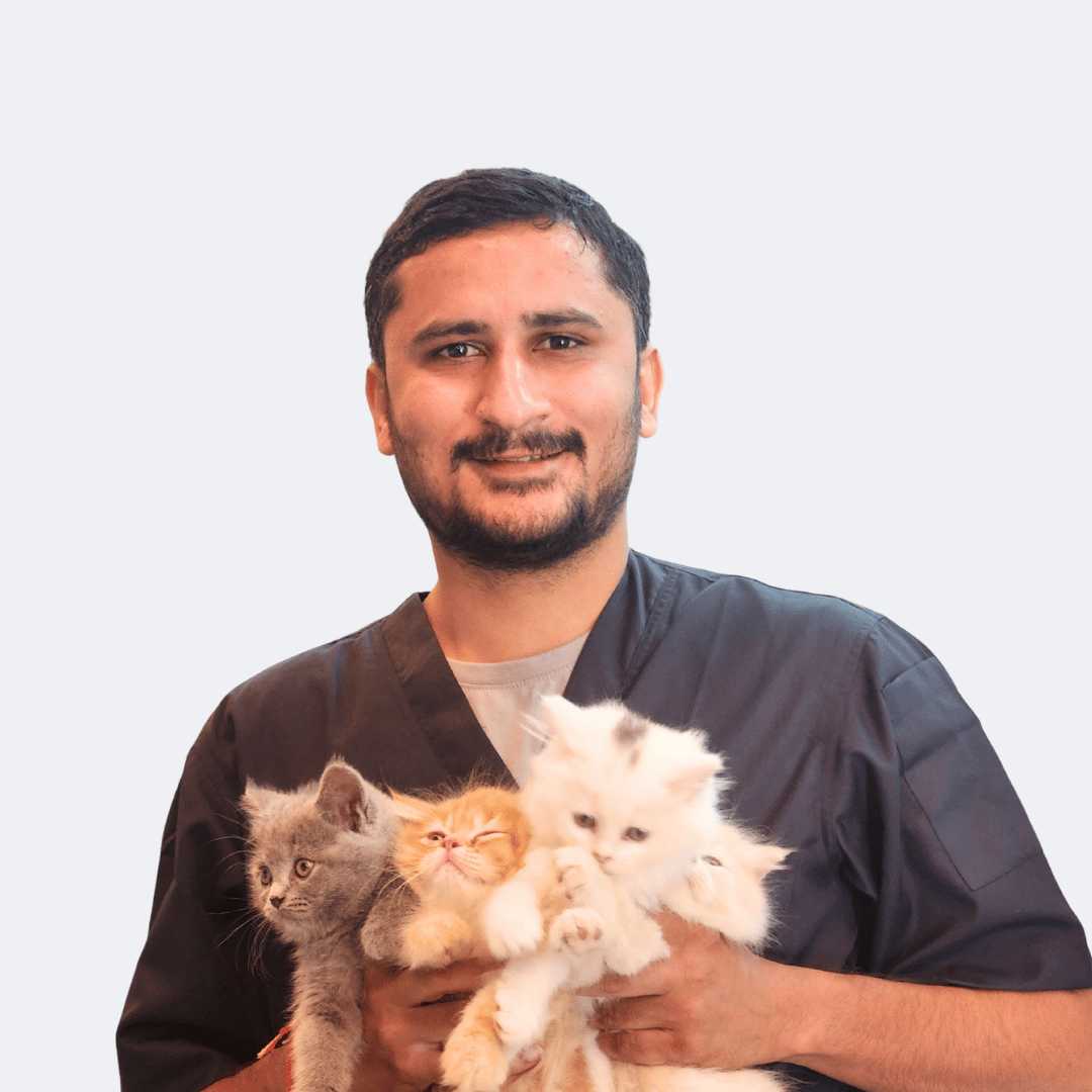 best online vet consultation india